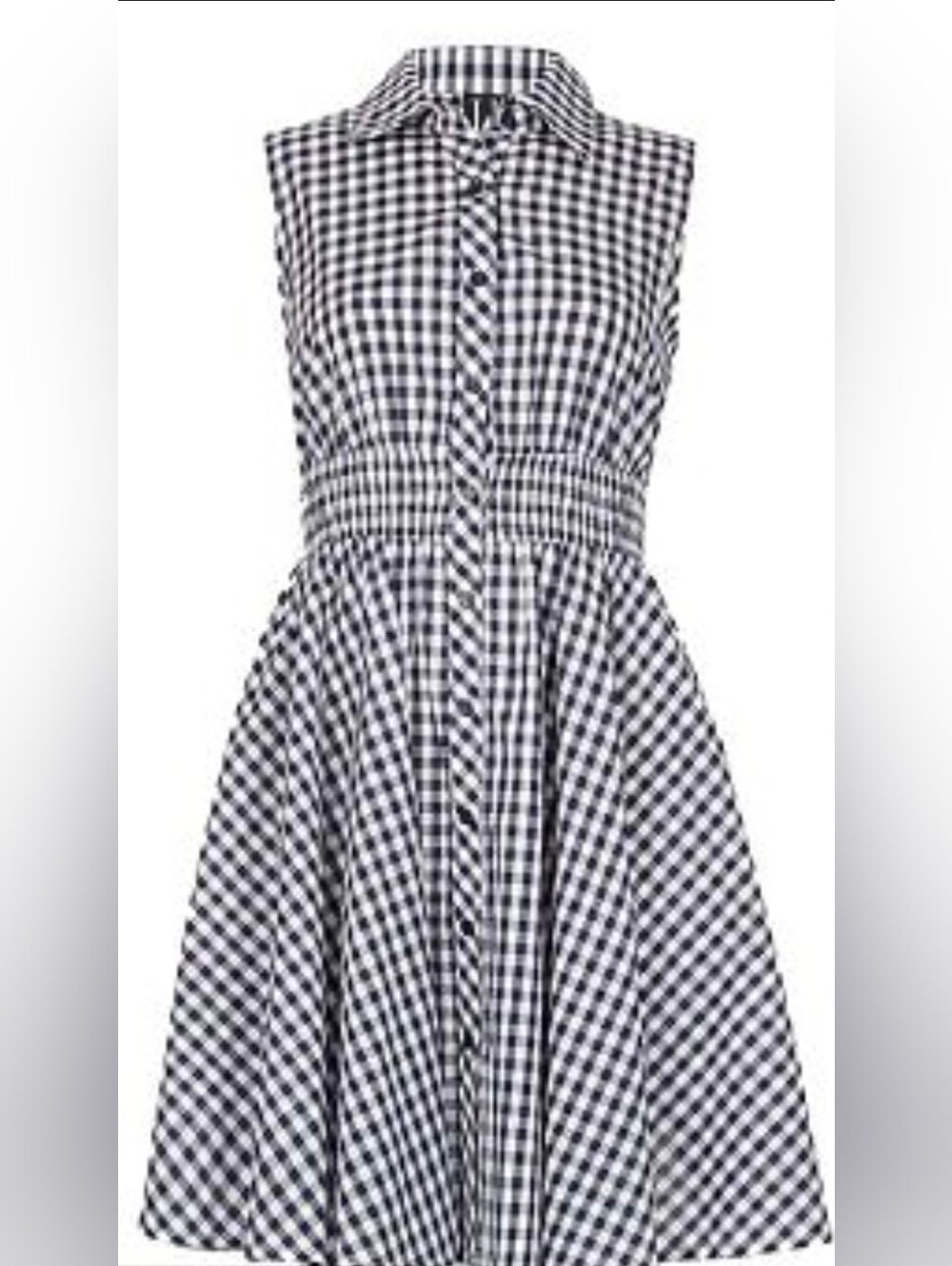 Papillon Classic Blue and White Gingham  Dress Size Large